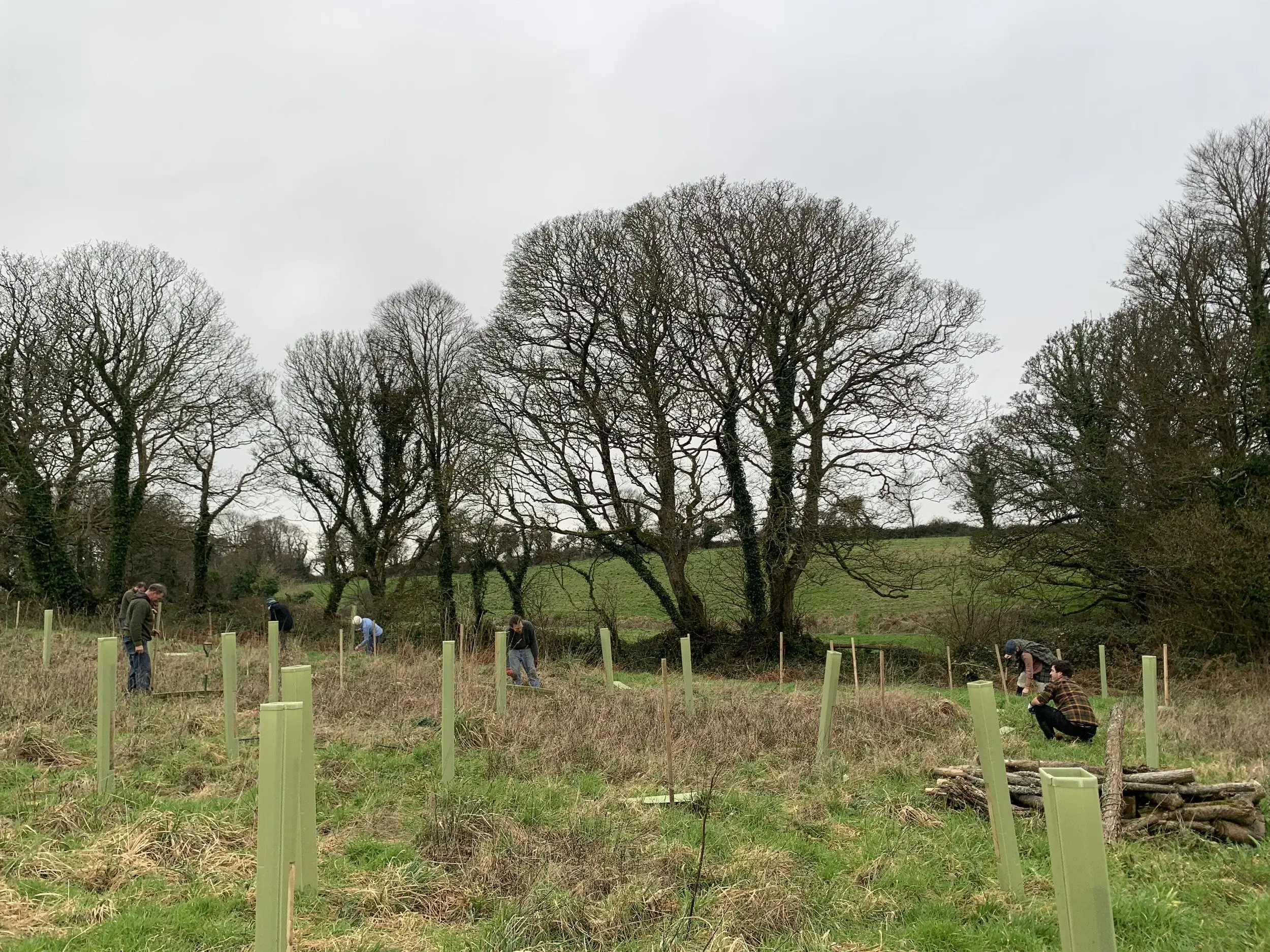 Woodland Management