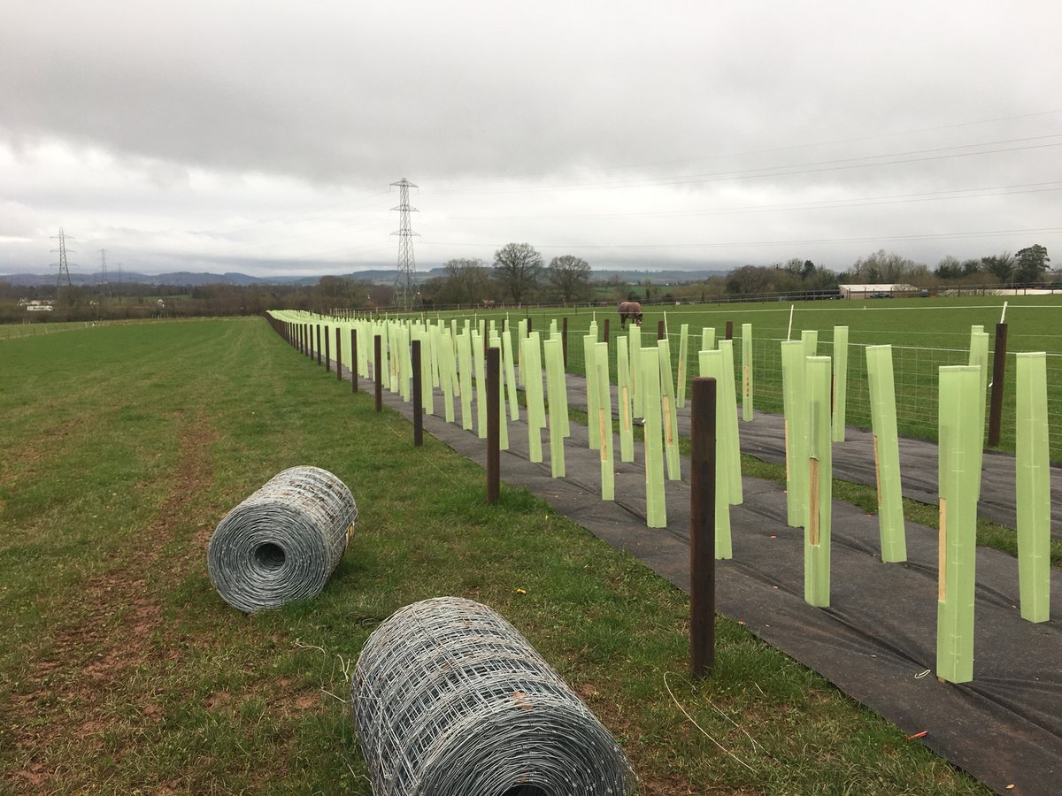 Upper Pengethley Farm