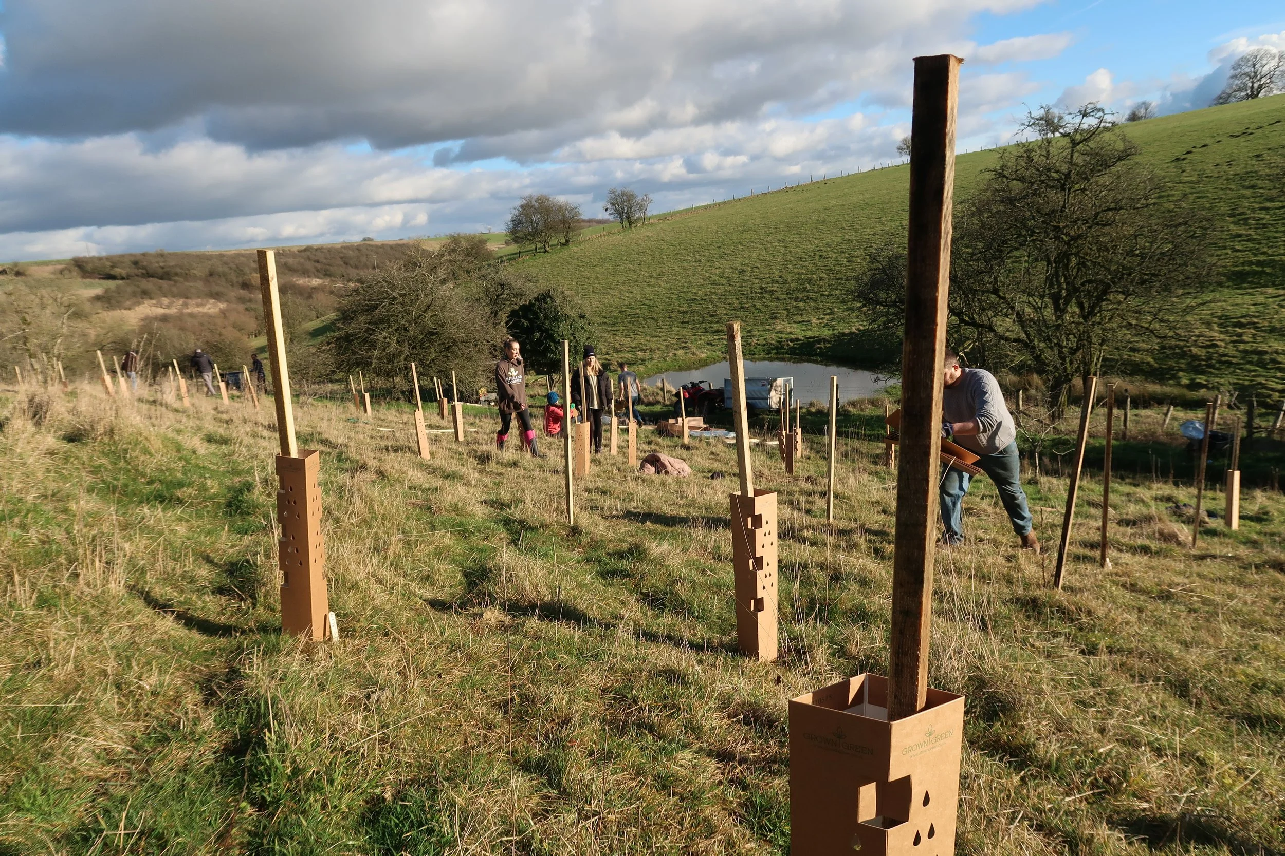 People planting trees on a grassy hillside