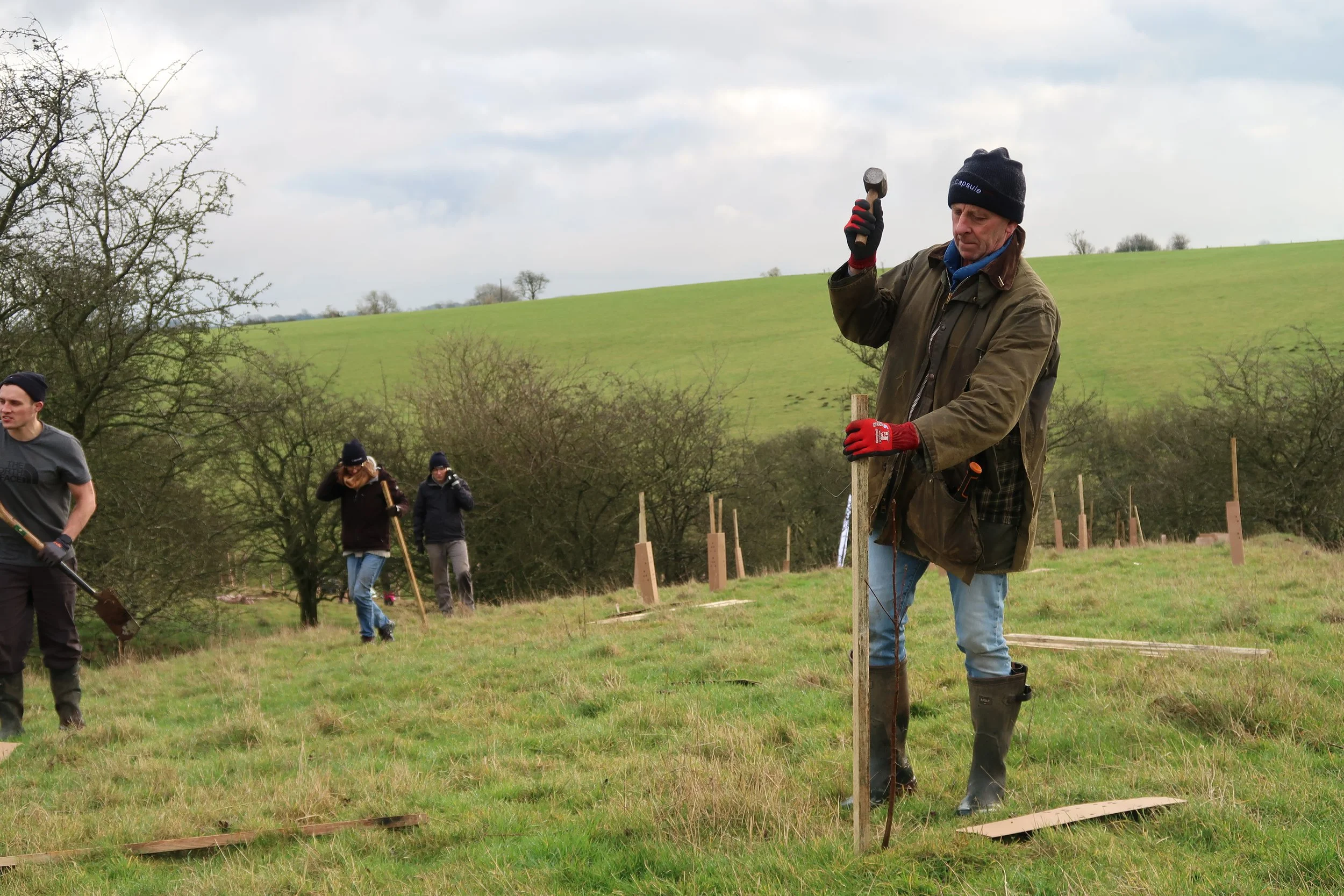 Group of people planting trees in a field
