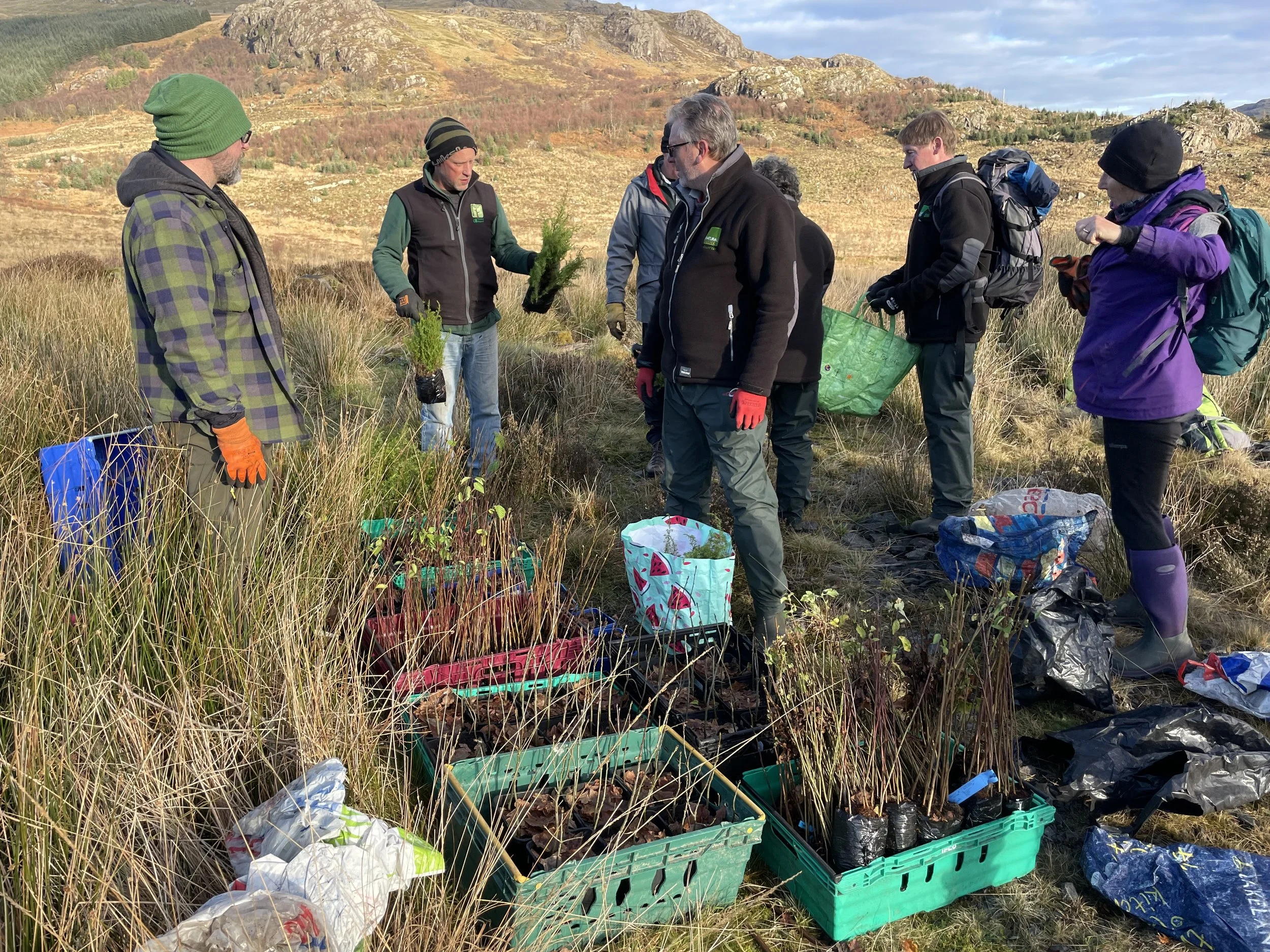Group of people planting trees in a field with mountains in the background